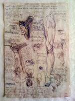 Leonardo Da Vinci - Leonardo Da Vinci Leg - Sculpture On Paper